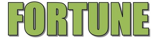 深圳市顺友跨境物流股份有限公司